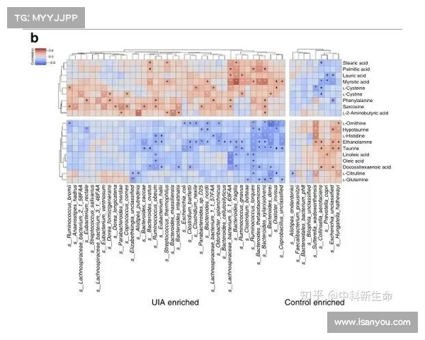 全面深入探讨欧协联决赛规则及其完整流程与关键机制细节深度解析 全面深入探讨欧协联决赛规则及其完整流程与关键机制细节深度解析