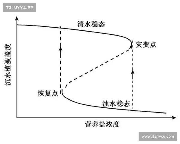 巴舒亚伊常用语言分析及其在职业生涯中的多语种优势探讨